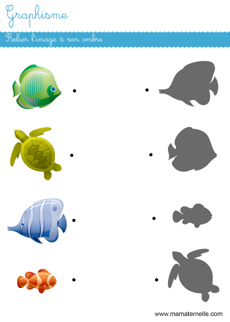 Petite section - Graphisme : relier l’image à son ombre