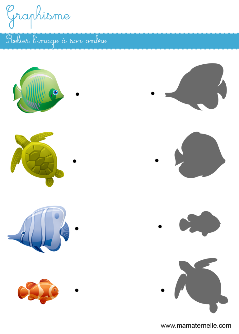 Graphisme  relier l'image à son ombre  Ma Maternelle