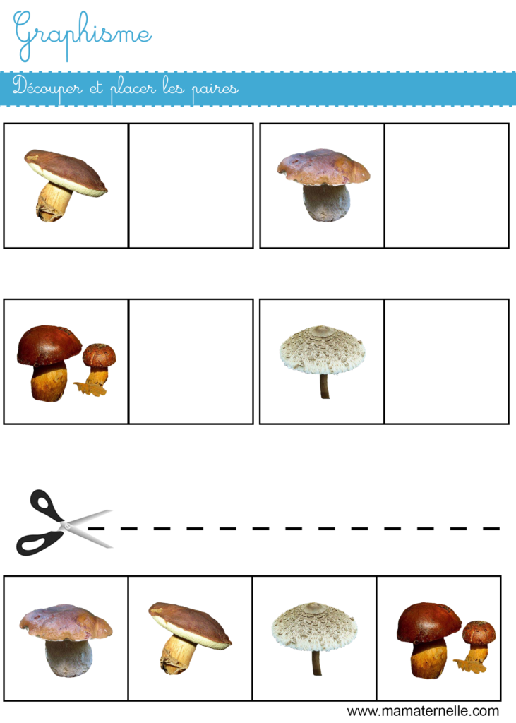 Petite section - Graphisme : découper et placer les paires