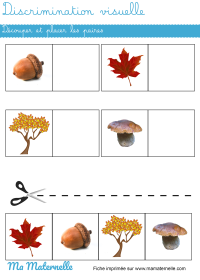 Activités - Activité : chasse aux trésors