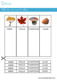 Moyenne section - Lettres : coller les mots dans le tableau