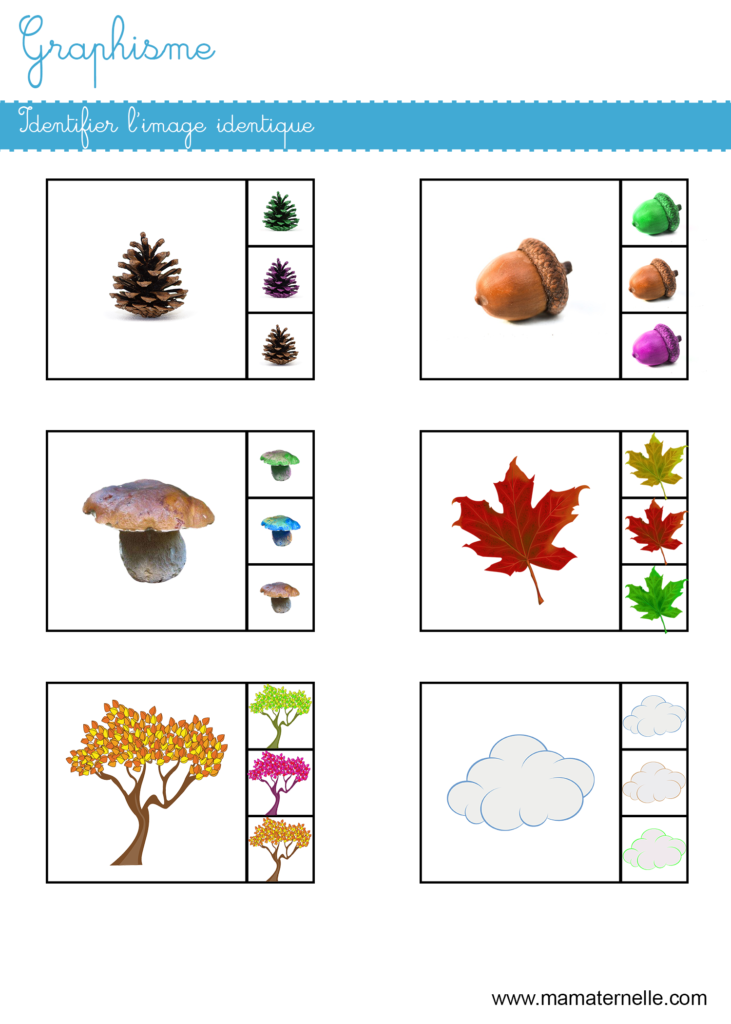 Petite section - Graphisme : identifier l’image identique