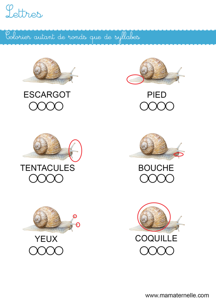 Grande section - Lettres : colorier autant de ronds que de syllabes