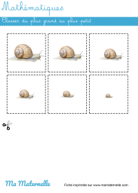 Grande section - Lettres : colorier autant de ronds que de syllabes