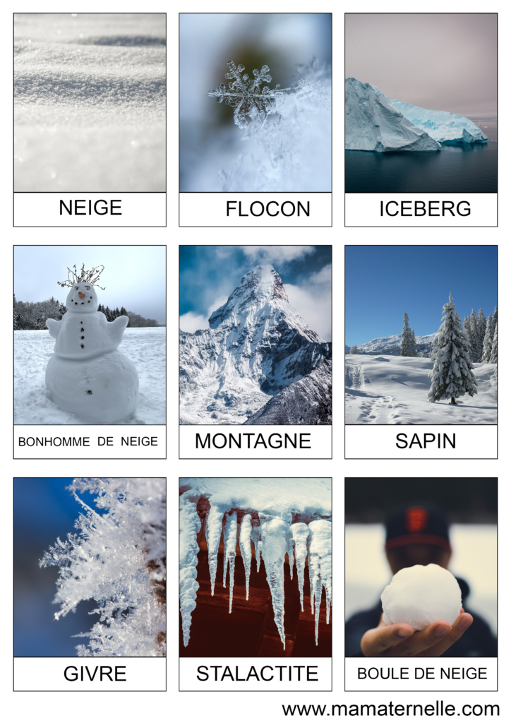 Activités - Cartes de nomenclature : Hiver