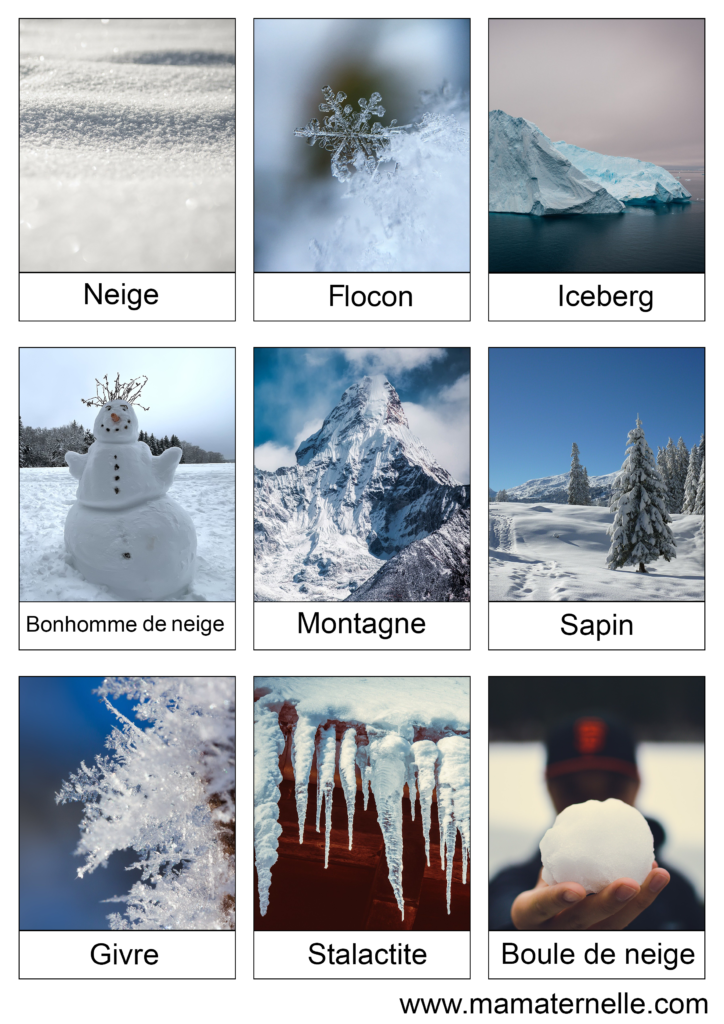 Activités - Cartes de nomenclature : Hiver