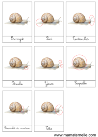 Activités - Cartes de nomenclature : l’espace