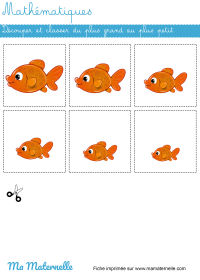 Moyenne section - Graphisme : reproduire les graphismes