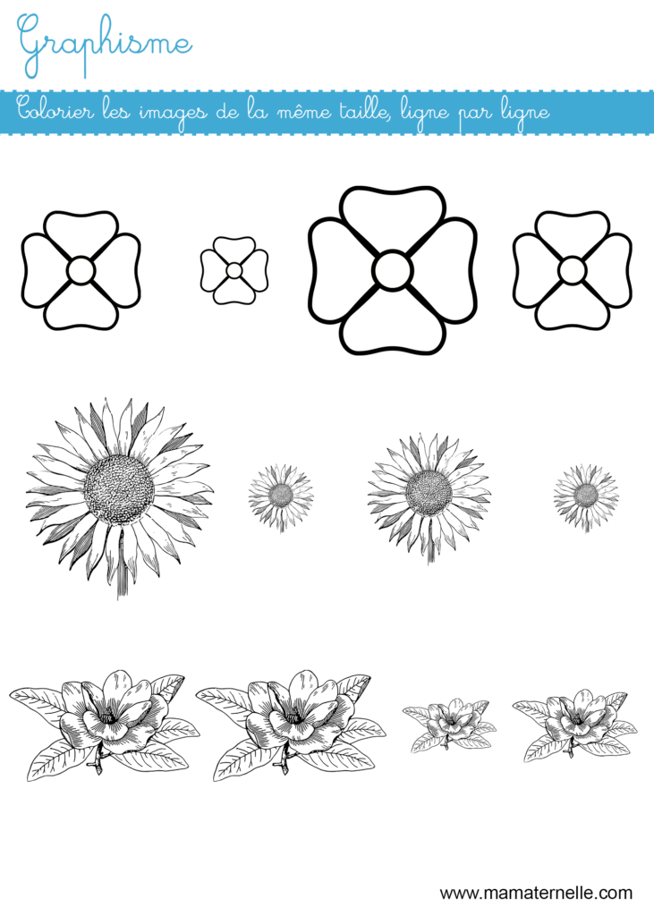 Moyenne section - Graphisme : colorier les images de la même taille