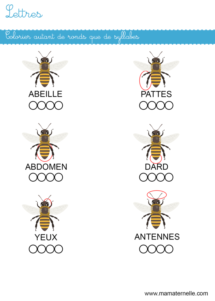 Grande section - Lettres : colorier autant de ronds que de syllabes