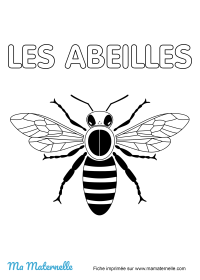 Grande section - Lettres : légender l’escargot