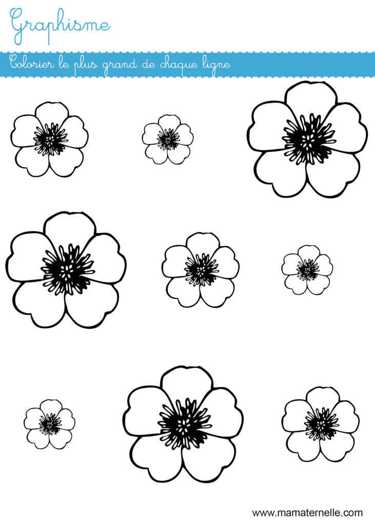 Petite section - Graphisme : colorier le plus grand