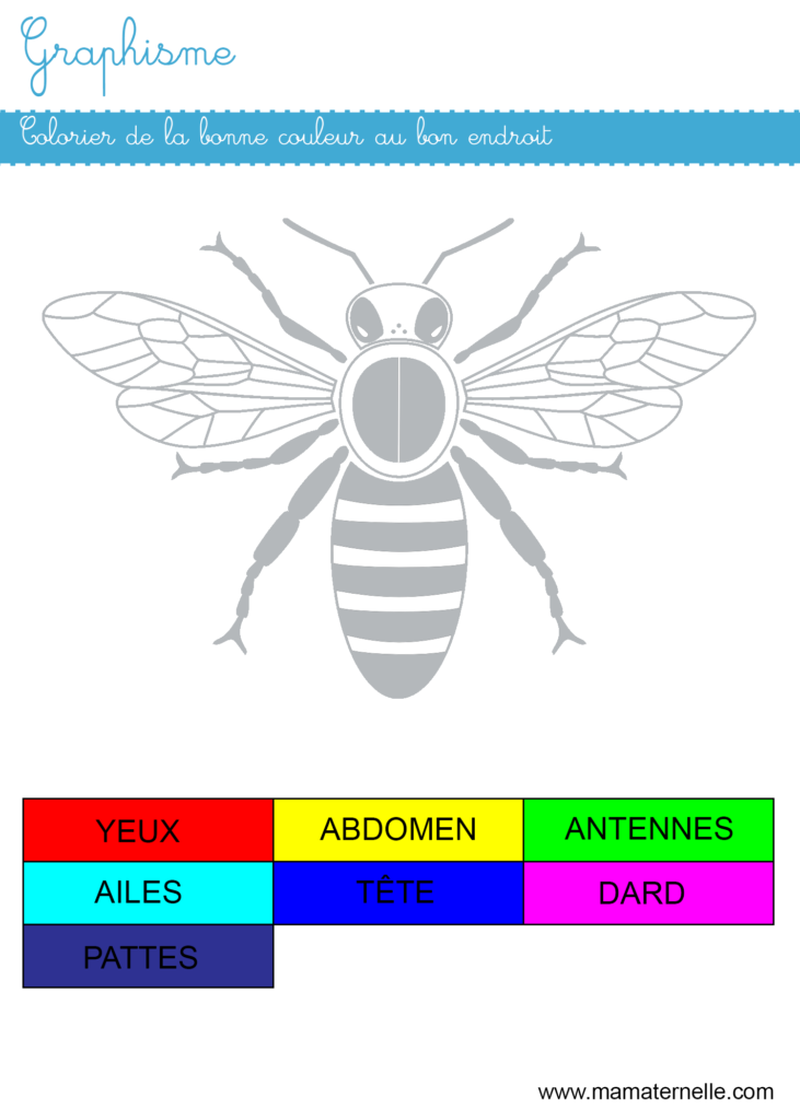 Grande section - Graphisme : colorier de la bonne couleur