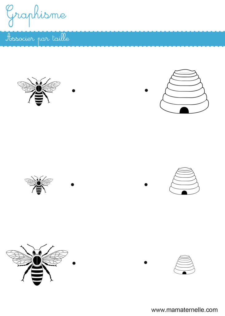 Moyenne section - Graphisme : associer par taille