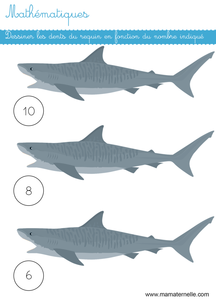 Grande section - Mathématiques : dessiner les dents