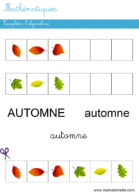 Activités - Calendrier novembre 2023