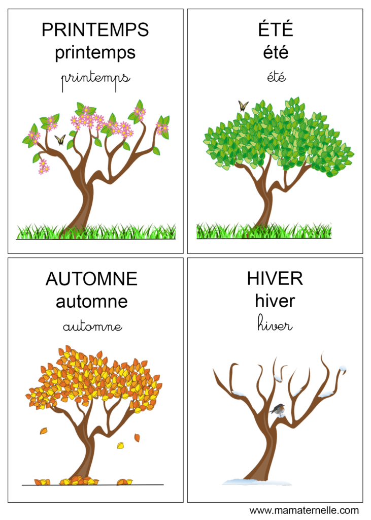 Activités - Outil pédagogique : cartes des saisons