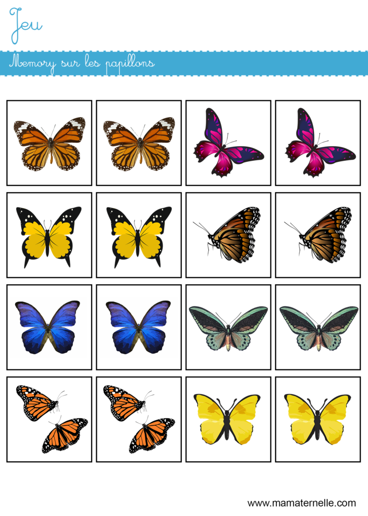 Activités - Jeu : memory sur les papillons