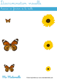 Moyenne section - Graphisme : tracer des traits