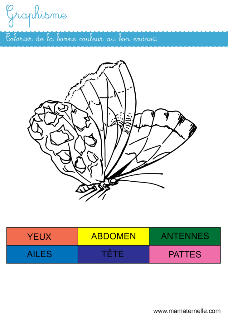 Grande section - Graphisme : colorier de la bonne couleur