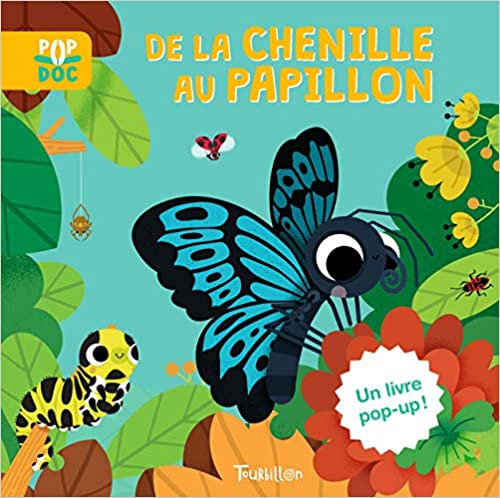 de la chenille au papillon