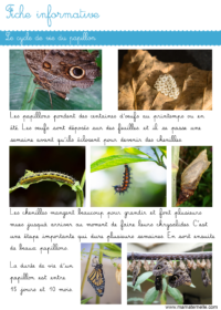 Grande section - Lettres : compléter les mots fléchés