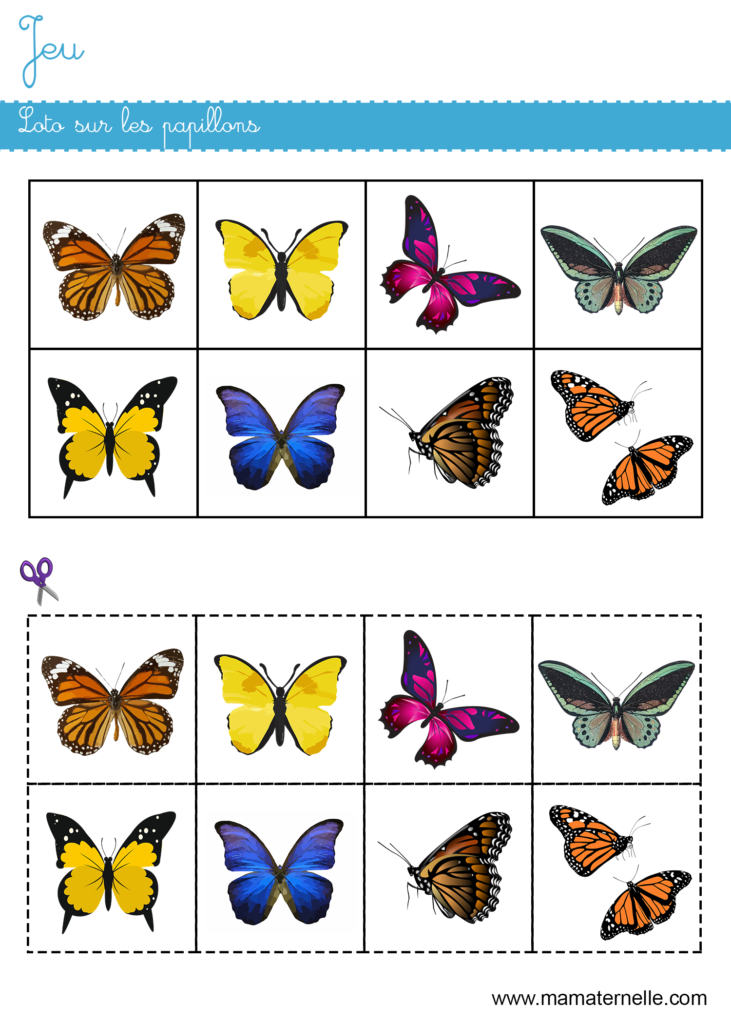 Activités - Jeu : loto sur les papillons