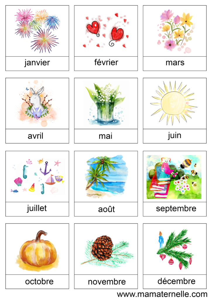 Activités - Cartes de nomenclature : les mois de l’année