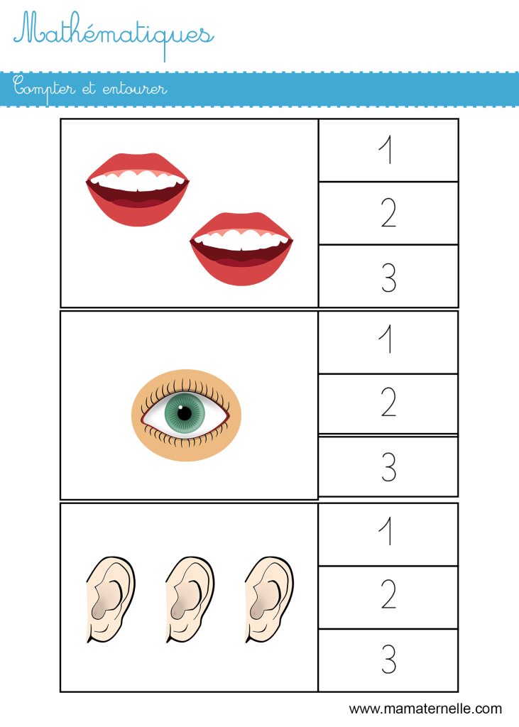 Petite section - Chiffres : compter et entourer