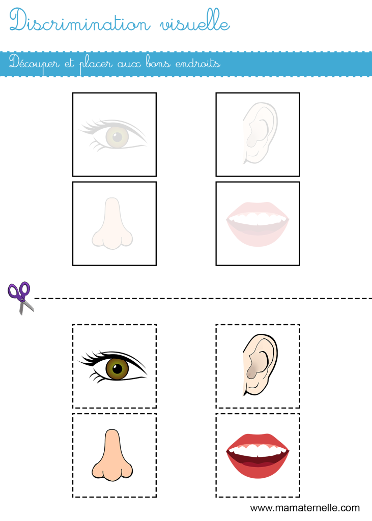 Petite section - Discrimination visuelle : découper et placer