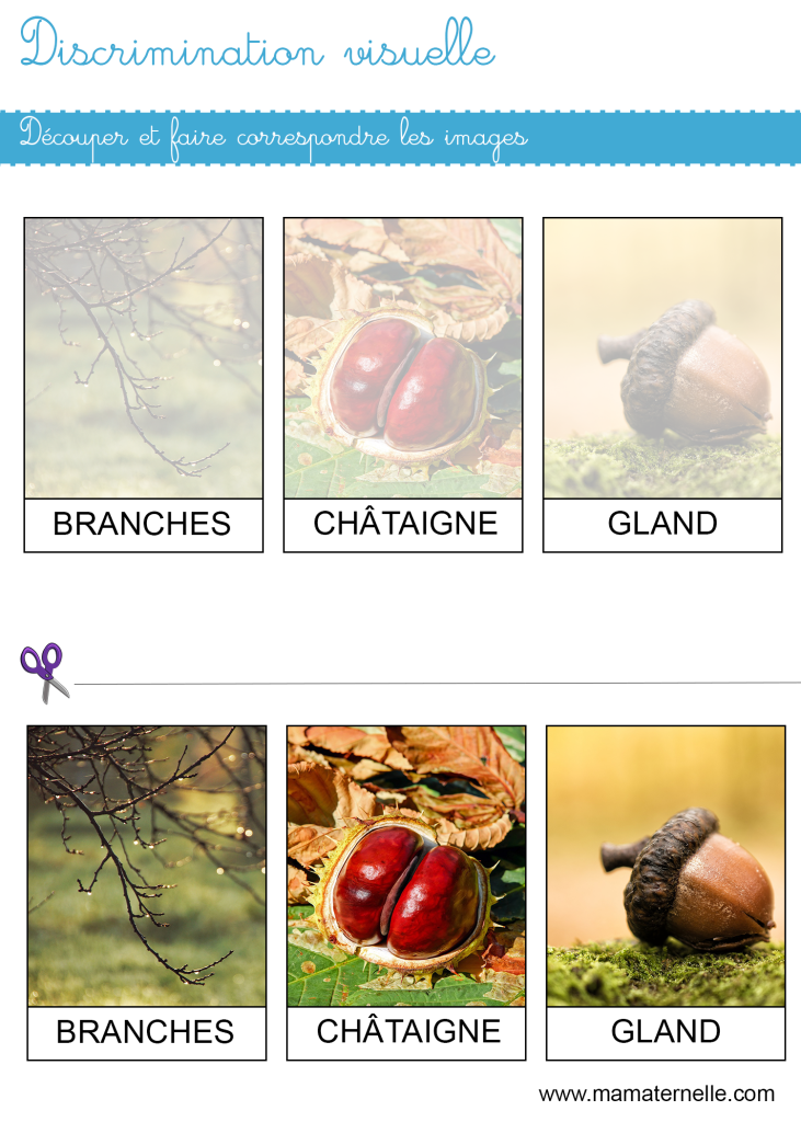 Petite section - Discrimination visuelle : faire correspondre