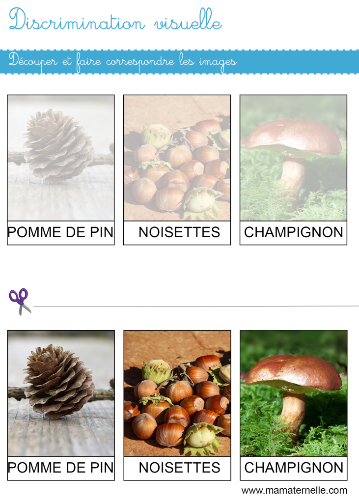 Petite section - Discrimination visuelle : faire correspondre