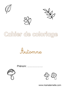 Activités - Activité : mixer les couleurs