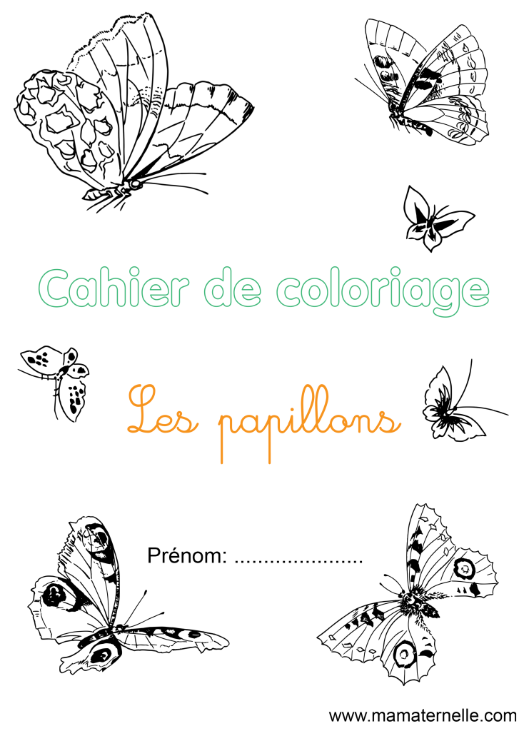 Activités - Cahier de coloriage : Les papillons