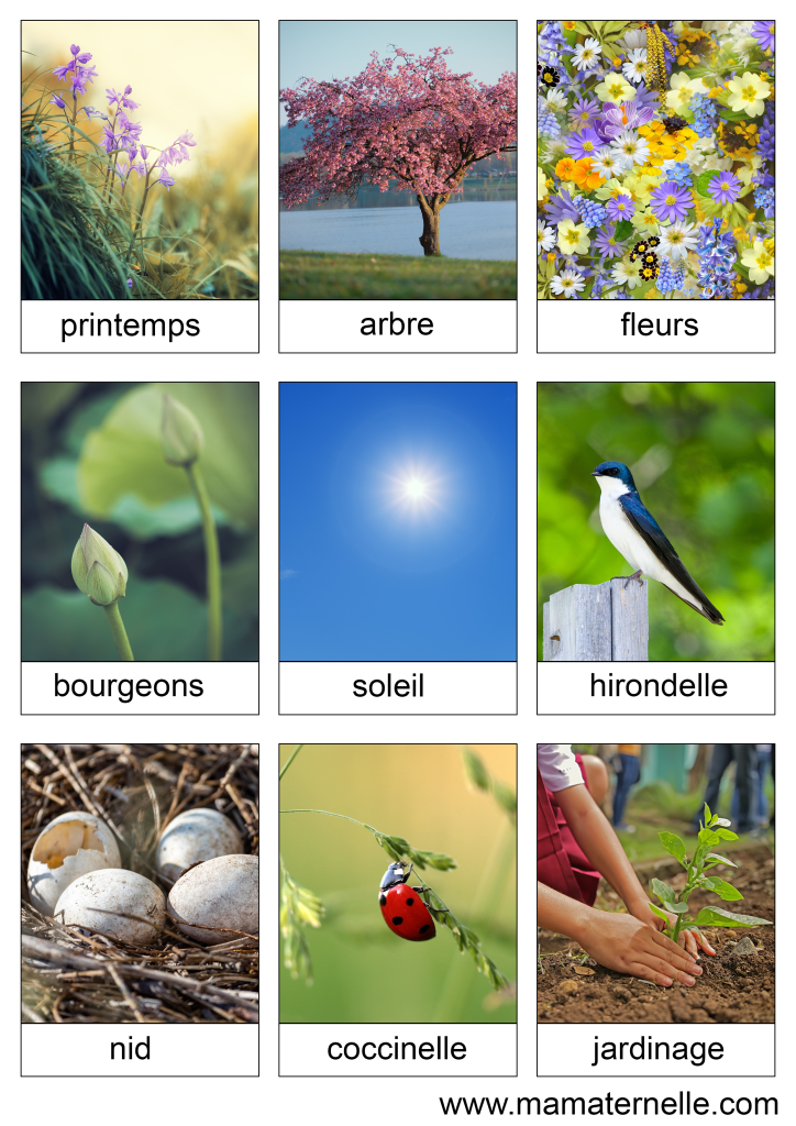 Activités - Cartes de nomenclature : Printemps