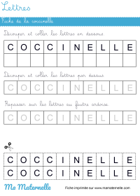 Activités - Activité : coccinelle en 3D