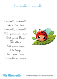 Moyenne section - Mathématiques : compter puis coller des gommettes