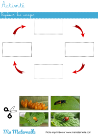 Blog - 5 activités sur le thème de l’hiver
