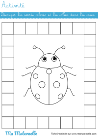 Activités - Activité : dessiner son portrait