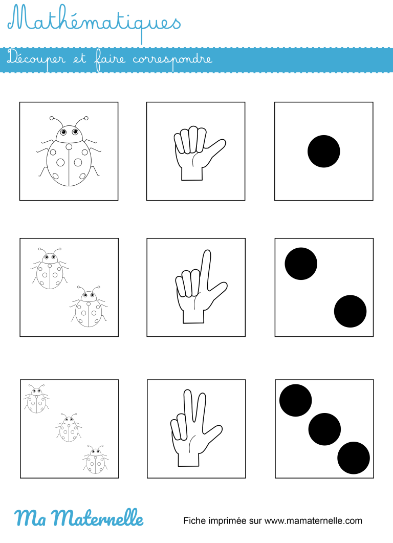 Exercices et ressources pédagogiques sur les coccinelles- Ma Maternelle