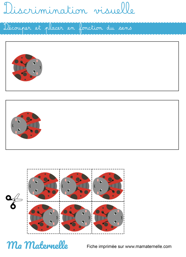 Moyenne section - Discrimination visuelle : découper et placer
