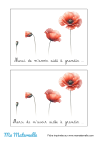 Activités - Carte de nomenclatures couleurs à personnaliser
