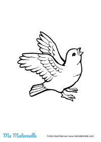 Petite section - Lettres : connaitre son prénom