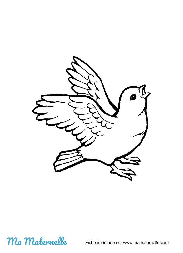 Activités - Activité : colorier