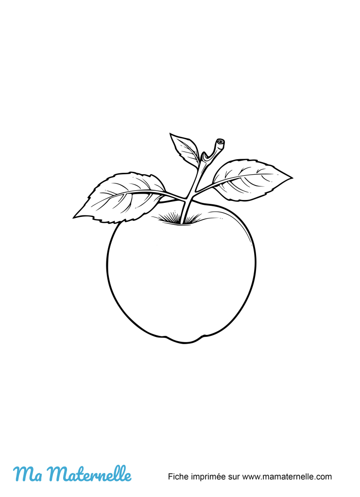 Activités - Activité : colorier