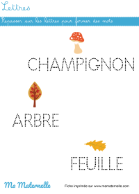 Activités - Activité : assembler les paires de fleurs