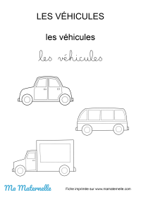 Moyenne section - Discrimination visuelle : placer en fonction du sens
