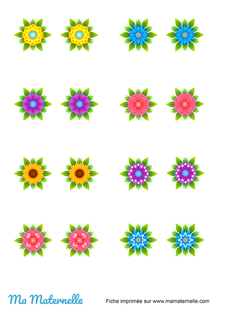 Activités - Activité : assembler les paires de fleurs