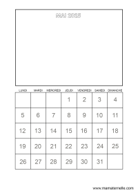 Activités - Activité : coloriage des cases