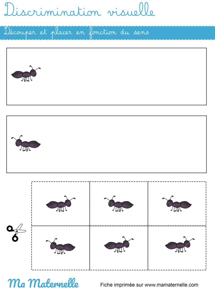 Moyenne section - Discrimination visuelle : placer en fonction du sens